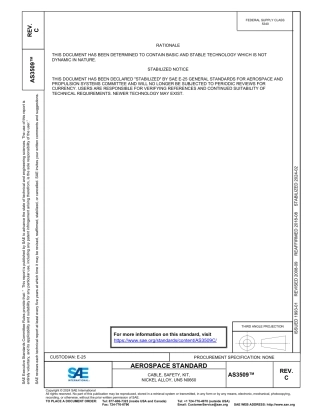 SAE AS3509C-2024.pdf