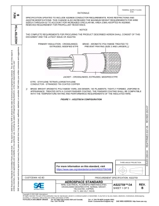 SAE AS22759-34B-2023.pdf