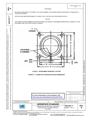 SAE AS31031B-2022.pdf
