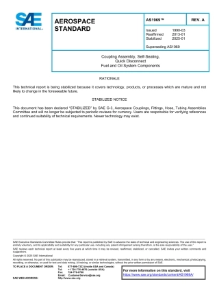 SAE AS1969A-2025.pdf