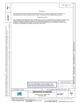SAE AS1369C-2024.pdf