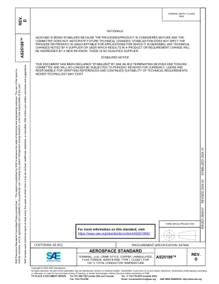 SAE AS25189D-2024.pdf