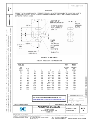 SAE AS85421-6B-2023.pdf
