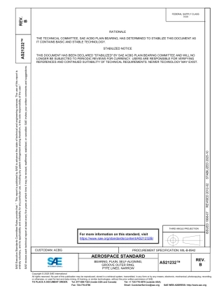 SAE AS21232B-2025.pdf