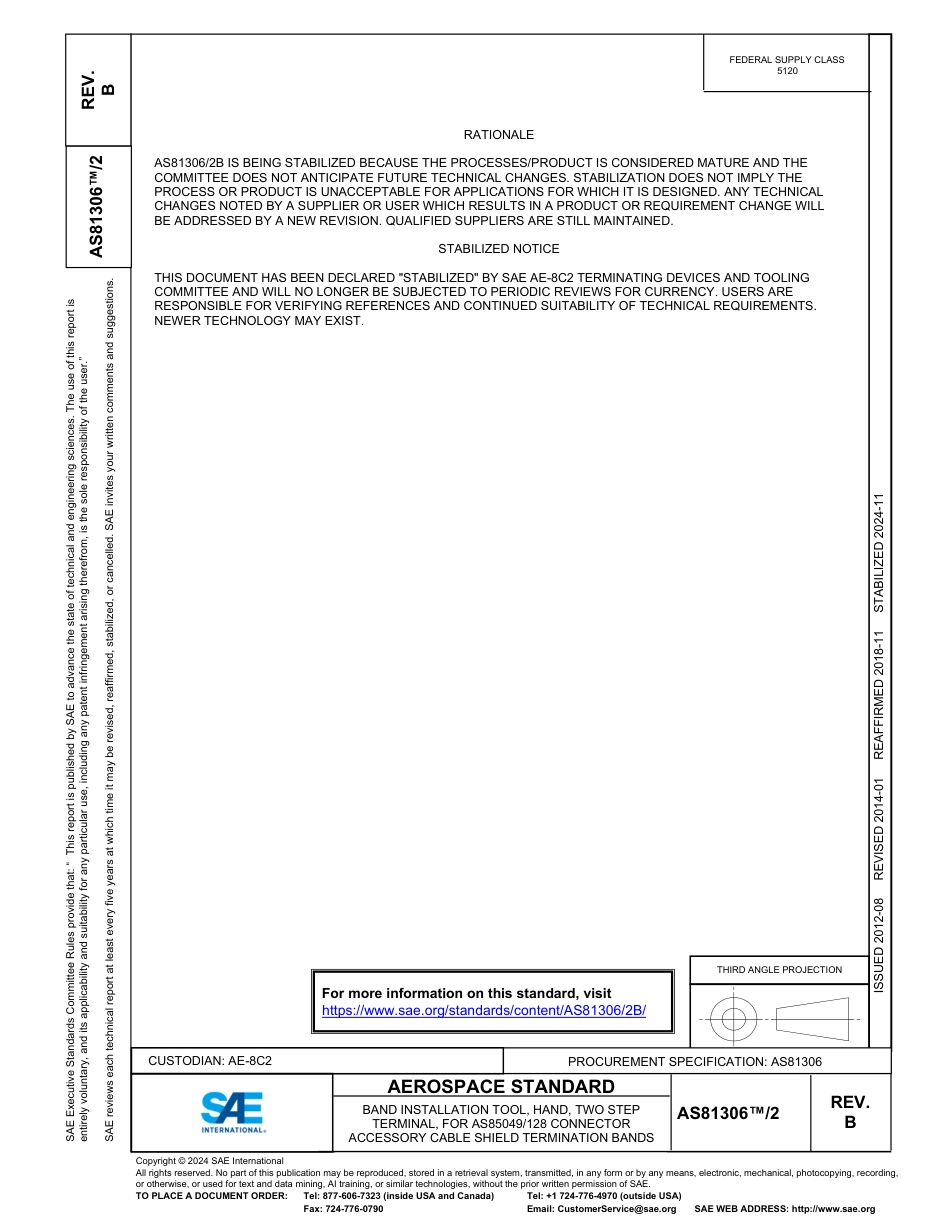 SAE AS81306-2B-2024.pdf_第1页