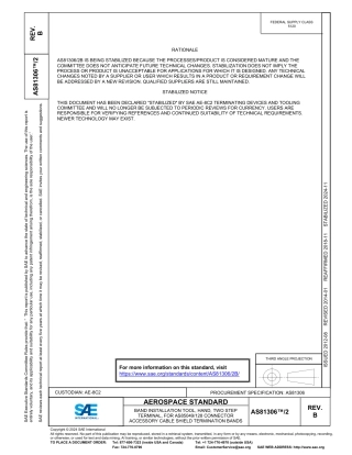 SAE AS81306-2B-2024.pdf