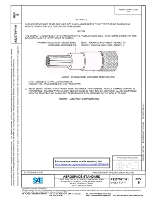 SAE AS22759-41B-2023.pdf