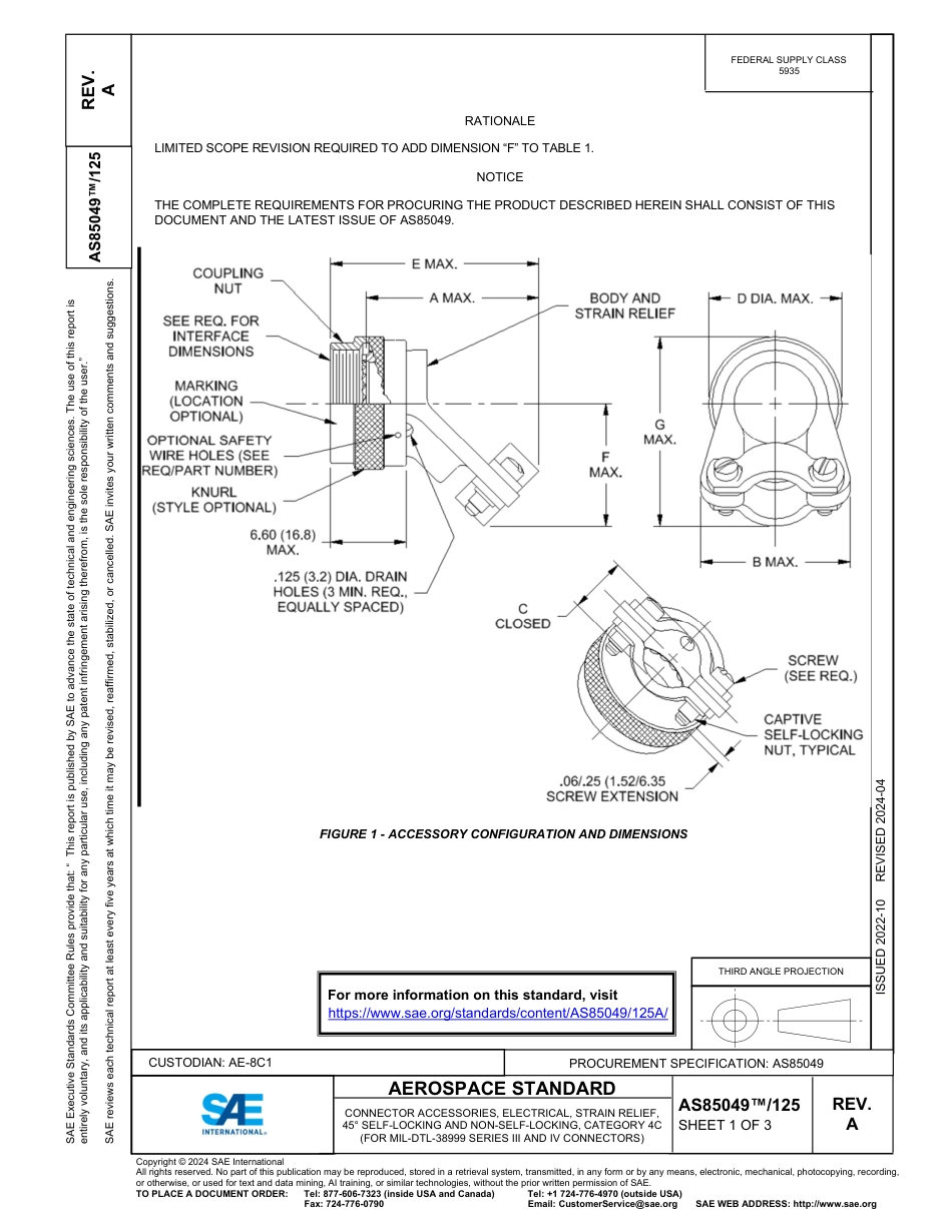 SAE AS85049-125A-2024.pdf_第1页