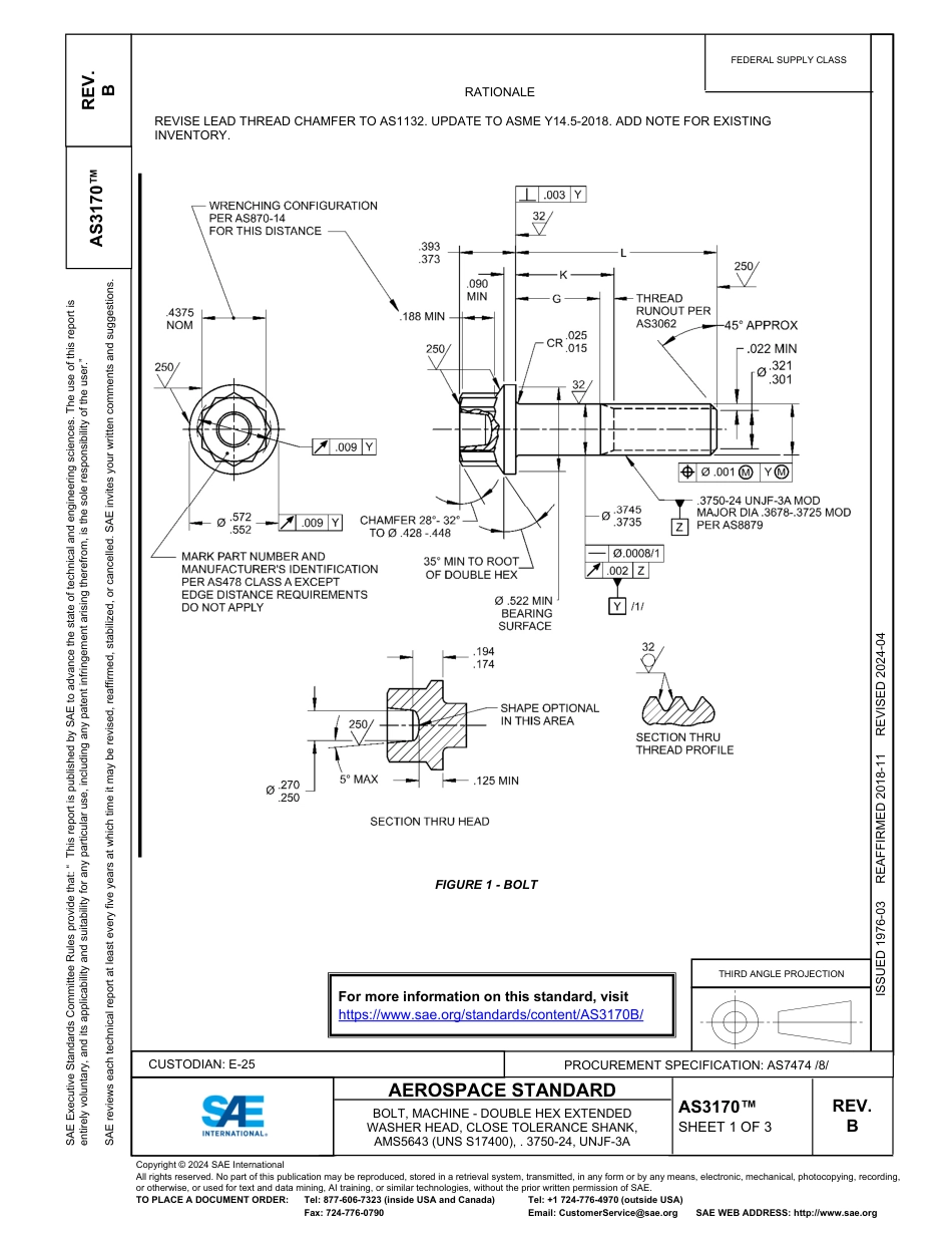 SAE AS3170B-2024.pdf_第1页