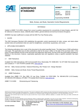 SAE AS3063C-2024.pdf