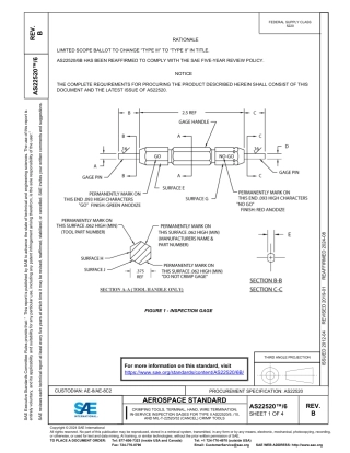 SAE AS22520-6B-2024.pdf