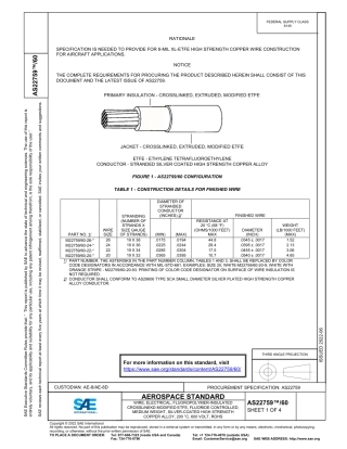 SAE AS22759-60-2022.pdf