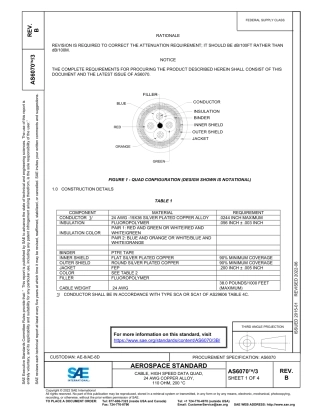 SAE AS6070-3B-2022.pdf
