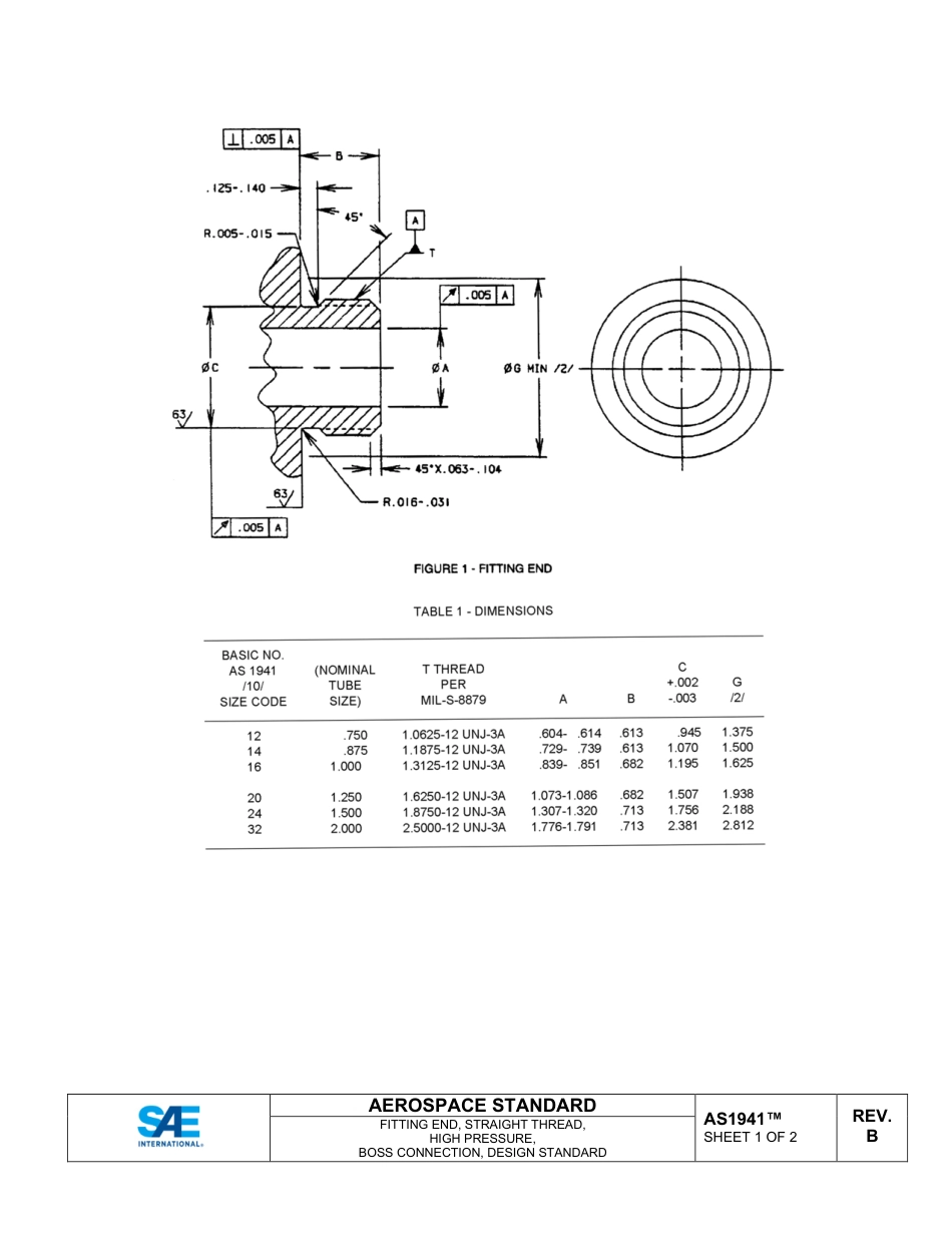 SAE AS1941B-2024.pdf_第2页