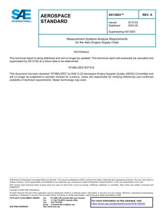 SAE AS13003A-2024.pdf