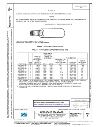 SAE AS22759-52C-2025.pdf