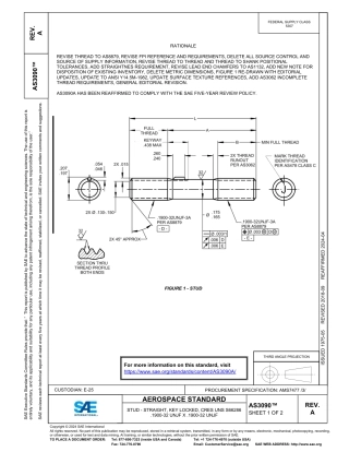 SAE AS3090A-2024.pdf