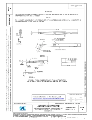 SAE AS81969-8B-2024.pdf