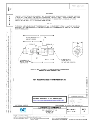 SAE AS21938C-2023.pdf