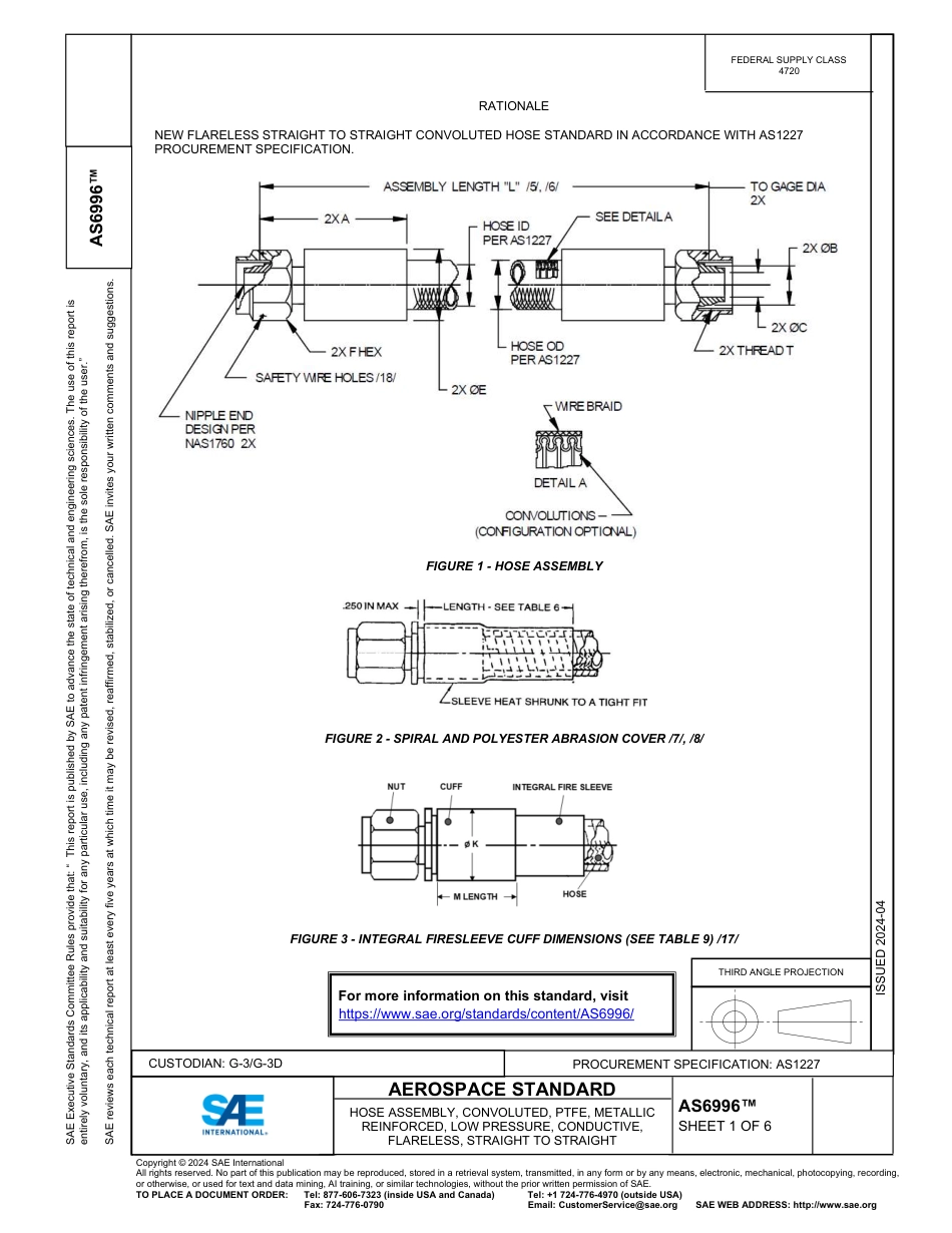 SAE AS6996-2024.pdf_第1页