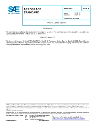 SAE AS13006A-2024.pdf