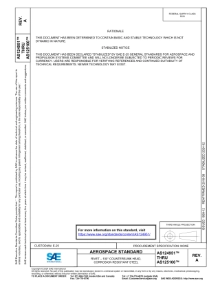 SAE AS124951A - AS125100A-2024.pdf
