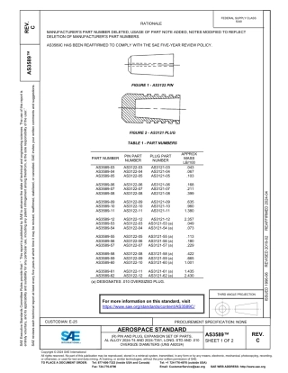 SAE AS3589C-2024.pdf