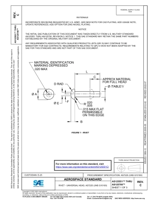 SAE AS125551C - AS125700C-2022.pdf