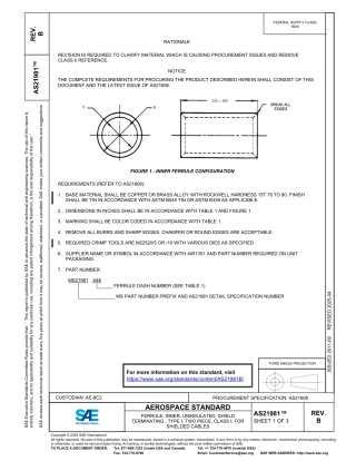 SAE AS21981B-2025.pdf