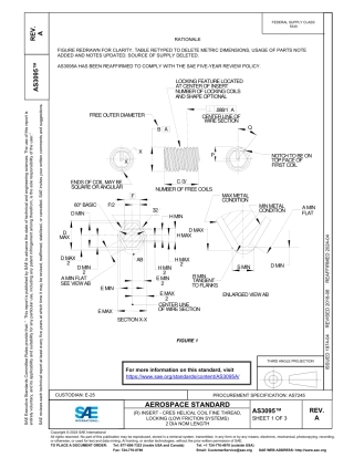 SAE AS3095A-2024.pdf