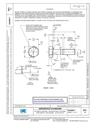SAE AS3098A-2024.pdf