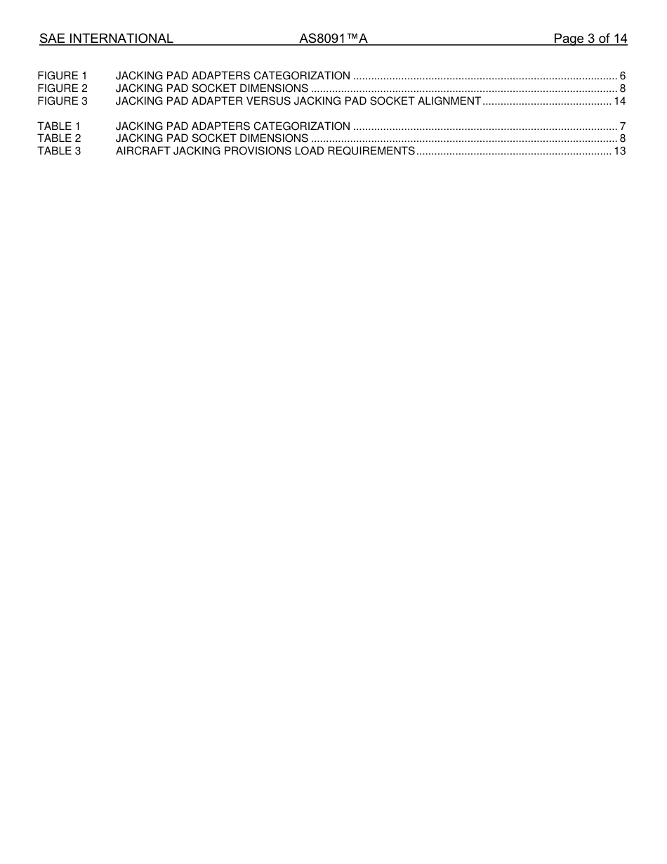 SAE AS8091A-2025.pdf_第3页