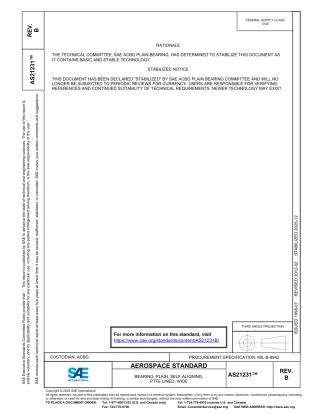 SAE AS21231B-2025.pdf