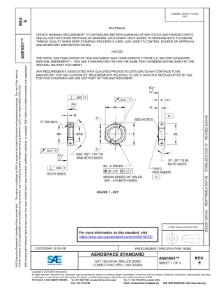 SAE AS91001E-2024.pdf
