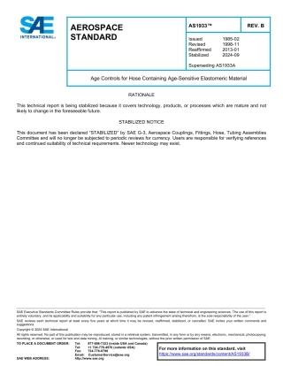 SAE AS1933B-2024.pdf