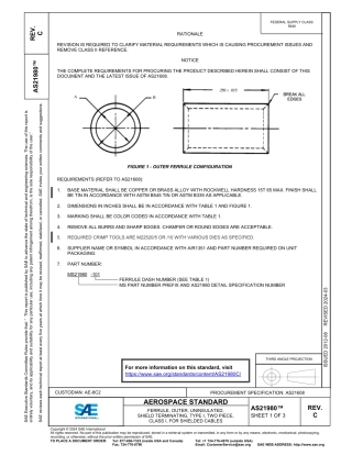 SAE AS21980C-2024.pdf