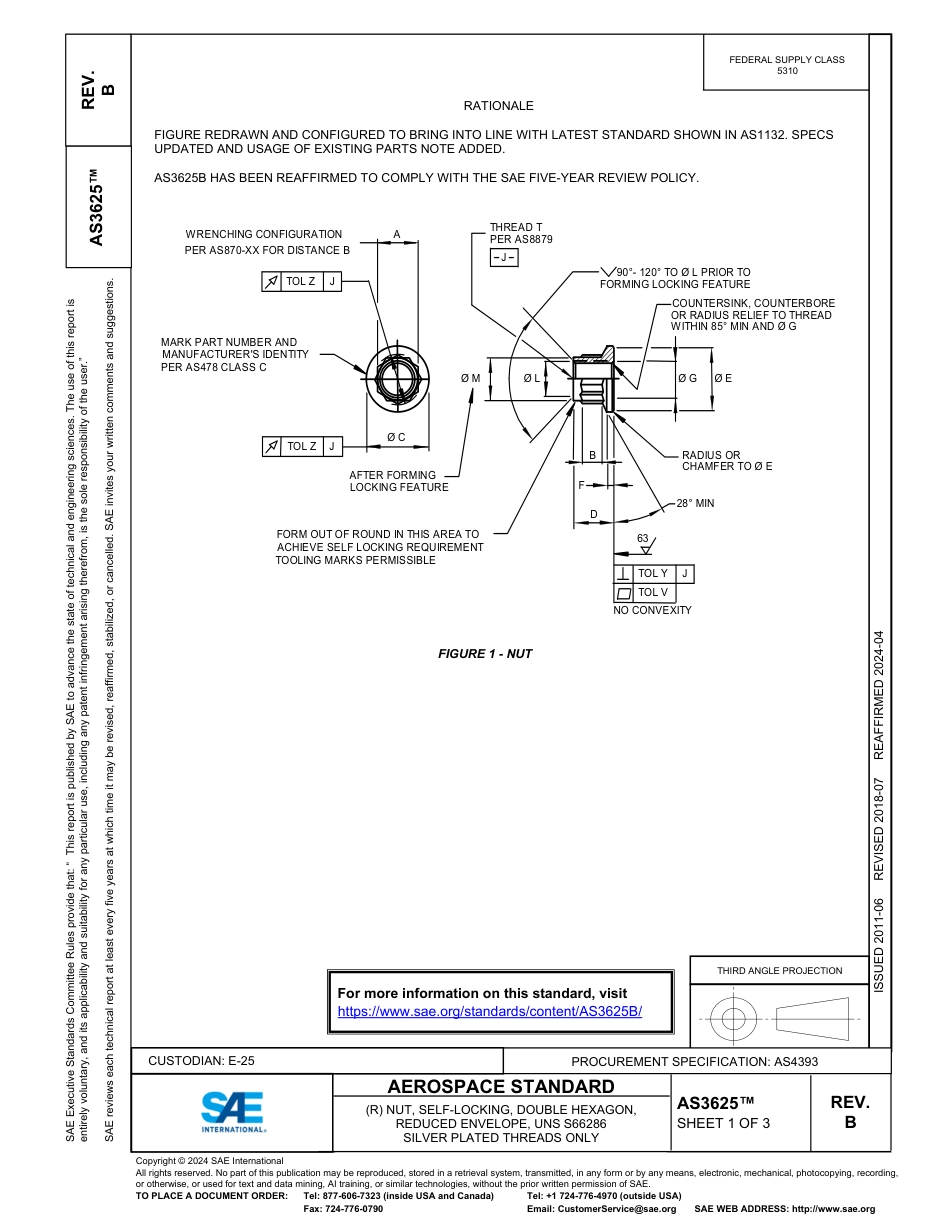 SAE AS3625B-2024.pdf_第1页