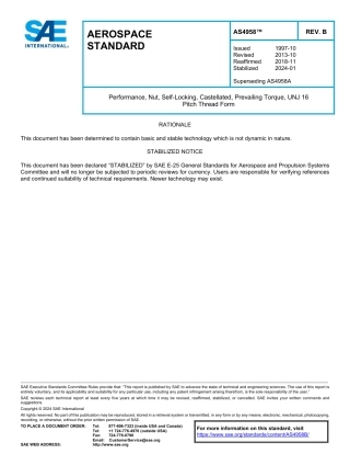SAE AS4958B-2024.pdf