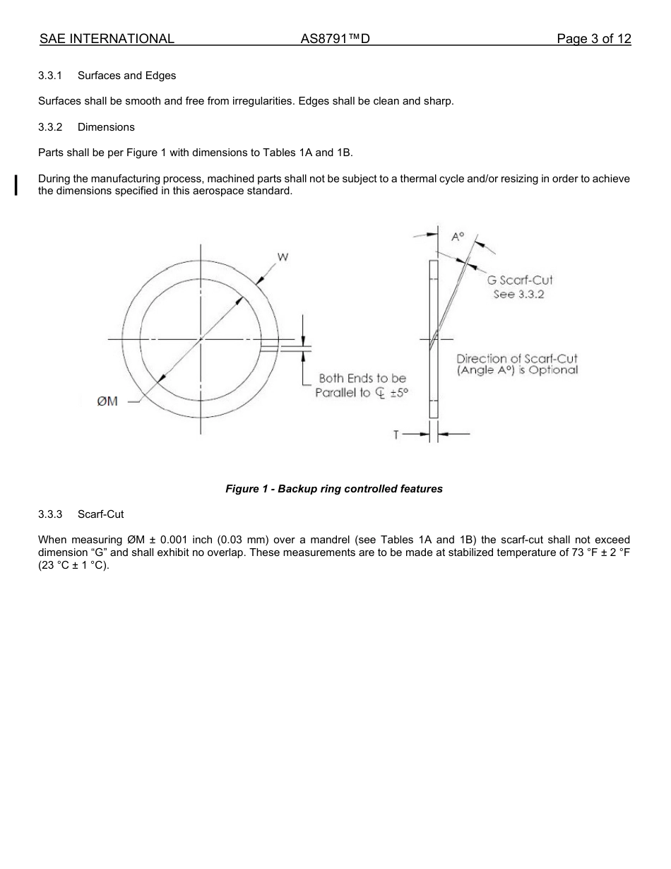 SAE AS8791D-2025.pdf_第3页