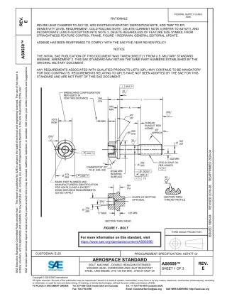 SAE AS9559E-2024.pdf