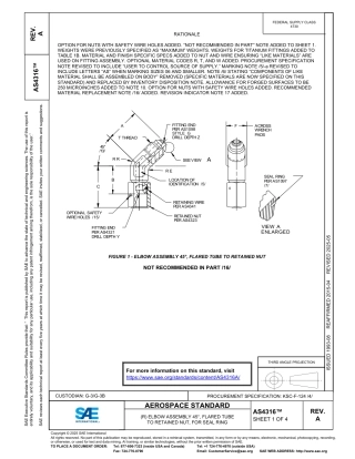 SAE AS4316A-2025.pdf