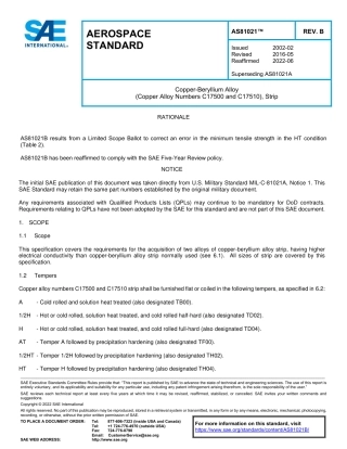 SAE AS81021B-2022.pdf