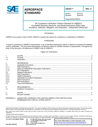 SAE AS6301A-2024.pdf