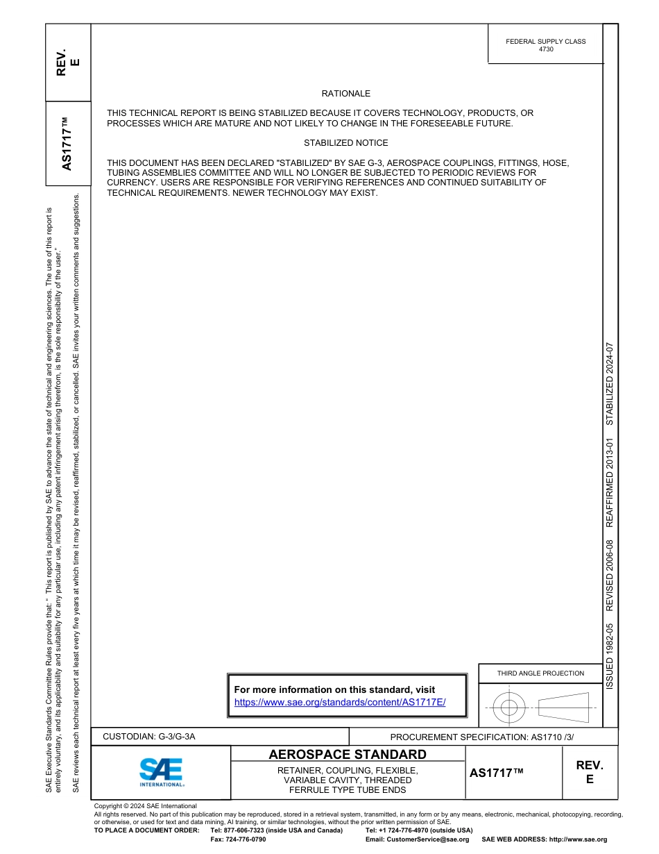 SAE AS1717E-2024.pdf_第1页