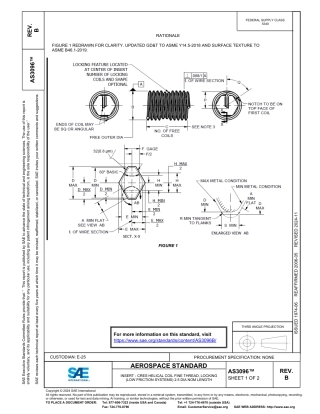 SAE AS3096B-2024.pdf
