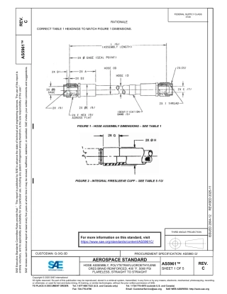 SAE AS5961C-2025.pdf