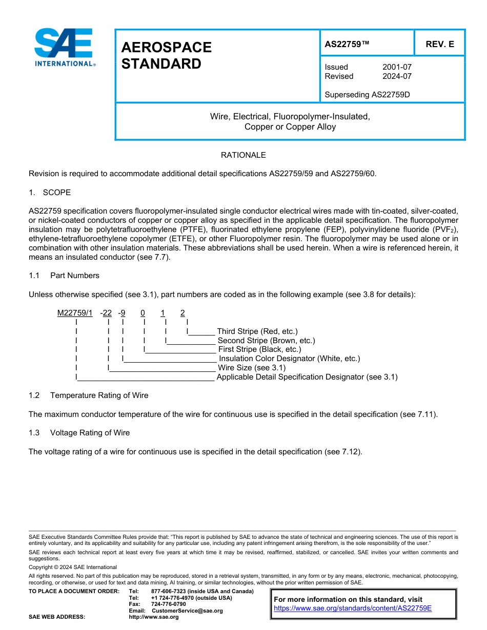 SAE AS22759E-2024.pdf_第1页
