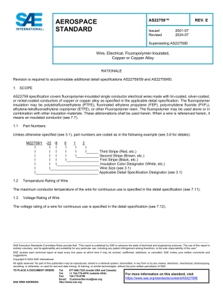 SAE AS22759E-2024.pdf