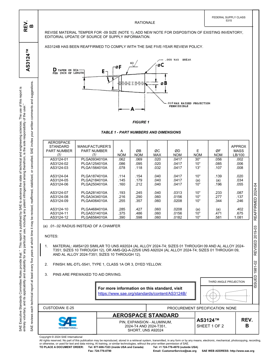 SAE AS3124B-2024.pdf_第1页