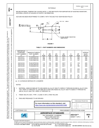 SAE AS3124B-2024.pdf
